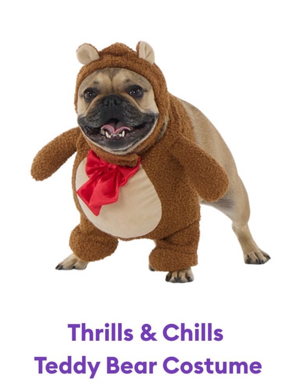 Thrills Brown Teddy Bear Pet Costume with Red Bow